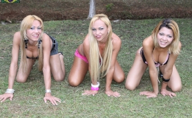 Shemale trio strips outdoors