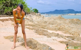 Asian ladyboy mint lets her cock hang out at the beach